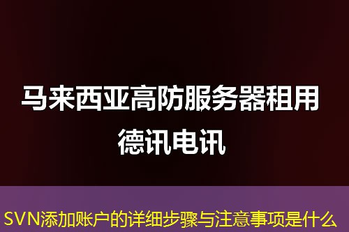 SVN添加賬戶的詳細(xì)步驟與注意事項(xiàng)是什么