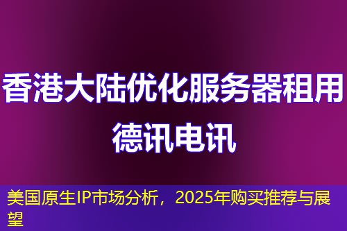 美國原生IP市場分析，2025年購買推薦與展望