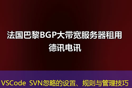 VSCode SVN忽略的設(shè)置、規(guī)則與管理技巧